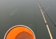 钓鱼技巧（提升钓鱼成功率的秘诀，掌握这个）