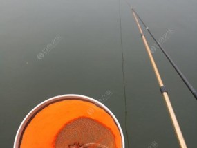 钓鱼技巧（提升钓鱼成功率的秘诀，掌握这个）