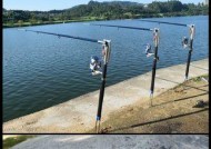 海竿抛竿钓鱼技巧教程？如何提高钓鱼成功率？