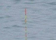 钓鱼海竿调漂方法与技巧教程（钓鱼海竿调漂的关键步骤和技巧）