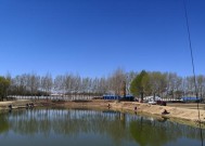 小型池塘钓鱼技巧教学（提高钓鱼成功率的关键点）