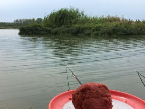 抛竿钓鳙鱼的技巧（掌握钓鳙鱼的看漂技巧）