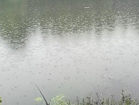 深山密林水库钓鱼技巧（大自然的宝藏）