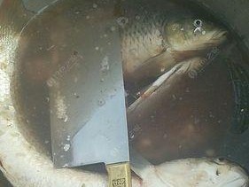 钓鱼抓鱼解钩技巧（掌握解钩技巧，提升钓鱼成功率）