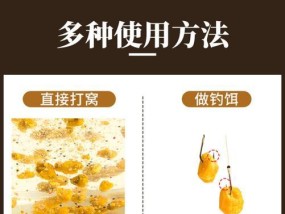 钓鱼玉米粒挂饵技巧大揭秘（轻松掌握钓鱼玉米粒挂饵的秘诀，提升你的钓鱼成功率！）