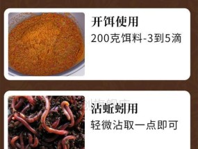 丁香酒钓鱼的绝技（钓鱼高手分享的丁香酒技巧与经验）