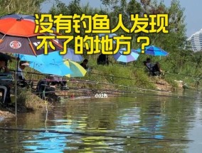 钓鱼技巧提速（掌握关键要领，快速提高钓鱼速度）