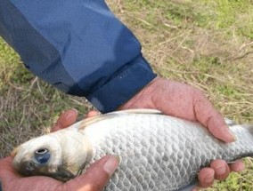 冬天钓鱼不封竿技巧有哪些？如何在寒冷季节保持钓鱼热情？