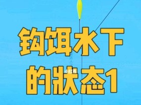 钓鱼技巧怎样知道目数？如何准确判断鱼钩大小？
