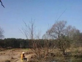 钓鱼技巧笑死人？这些小窍门你都知道吗？
