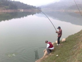 凌晨钓鱼打窝的技巧方法（捕获更多鱼群的关键在于细节）