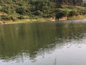涨水河钓鱼的技巧与方法（掌握钓鱼技巧）