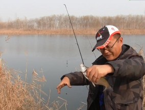 钓草鱼浮钓技巧与方法（探讨钓草鱼的浮钓技巧和有效方法）