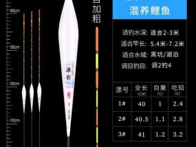 如何正确调整鱼漂位置以提高钓鱼技巧？