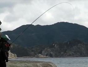 短子线钓鱼方法与技巧（大致了解短子线）