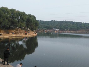 百年岩水库钓鱼技巧有哪些？如何提高钓鱼成功率？
