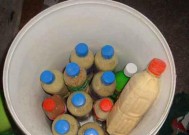 豆腐鸡蛋钓鱼技巧有哪些？如何提高钓鱼成功率？