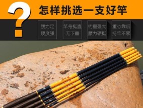 冬季钓竿保养和技巧（保持冬季钓竿的最佳状态）