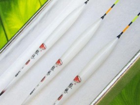 钓鱼技巧大揭秘（鱼漂相与提竿技巧解析）