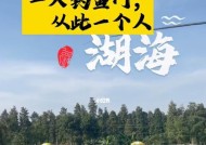 龙湖湿地钓鱼技巧（探索龙湖湿地）