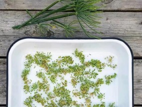 八角茴香钓鱼技巧和方法有哪些？如何提高钓鱼成功率？