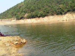 大虾水库钓鱼技巧和方法有哪些？如何提高钓鱼成功率？