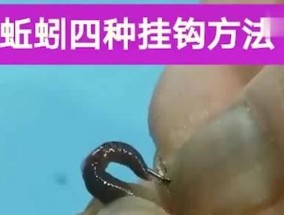 钓鱼技巧小鱼闹漂教程（提高钓鱼技巧，应对小鱼闹漂的方法）