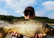 如何通过钓鱼经济技巧教程提高钓鱼效率？常见问题有哪些？