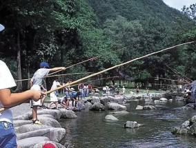 如何选择钓鱼机（钓鱼机选择技巧及关键要素）
