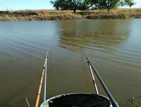 初夏钓鱼的三个技巧（掌握这三个技巧，让你初夏钓鱼无往不利！）