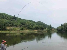淡水池塘钓鱼技巧有哪些？如何提高钓鱼成功率？