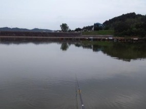 大溪沟水库钓鱼技巧和方法是什么？如何提高钓鱼成功率？