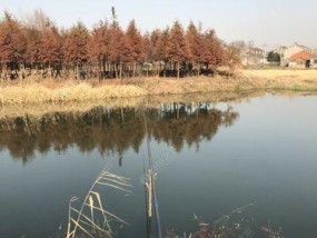 冬季野河钓鱼技巧教程（冰冻江河）