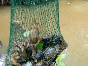 柳子河钓鱼技巧（挖掘柳子河钓鱼的有效技巧）
