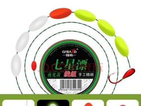 夜光漂调钓技巧揭秘（一竿定江山）
