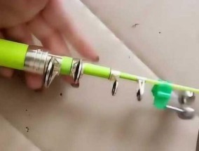 海竿鲢鳙鱼钓鱼技巧与方法（享受钓鱼乐趣的关键在于正确运用海竿鲢鳙鱼钓法）
