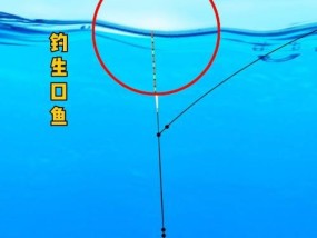 如何掌握垂钓调漂技巧四步？这四步能带来什么效果？