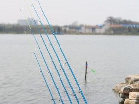 钓鱼海竿甩竿技巧——提高钓鱼效果的秘诀（技巧、心得与经验分享，让你成为钓鱼高手）