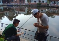海南排水港钓鱼技巧和方法有哪些？如何提高钓鱼成功率？