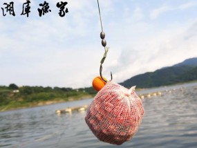 钓鱼技巧搓鱼饵，尽显高手之道（掌握关键，畅享钓鱼乐趣）