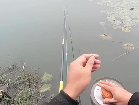 小鱼闹钩钓鱼技巧（掌握钓鱼技巧）