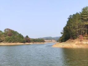 铜山源水库钓鱼技巧（挑选饵料与合适的渔具设备）