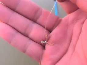 钓鱼技巧（提升钓鱼成功率的关键步骤）