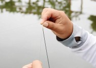 海竿钓鱼调漂找底方法和技巧是什么？如何快速掌握？