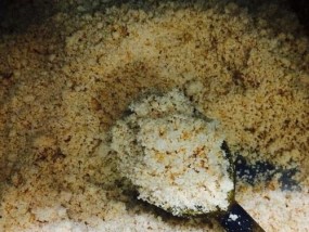 豆渣钓鱼效果好吗？如何使用豆渣作为鱼饵？