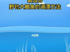 冬天野钓如何调漂？掌握哪些技巧能提高渔获？