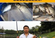 儿童钓竿小技巧（让孩子爱上钓鱼的秘诀）