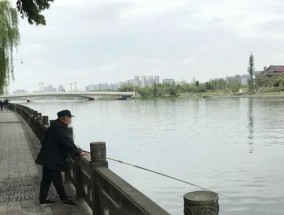 提升技巧，轻松钓鱼（以文明钓鱼为主题的技巧教程）