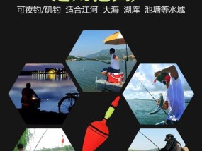 海竿带浮漂钓鱼技巧有哪些？如何提高钓鱼成功率？