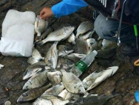 高海拔钓鱼技巧（探索高海拔垂钓的乐趣）